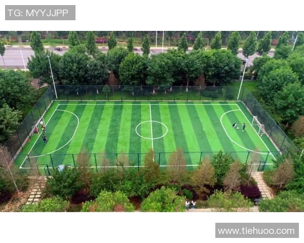 重磅专题:探秘上海乒乓球队如何实现整体压制与革新之路