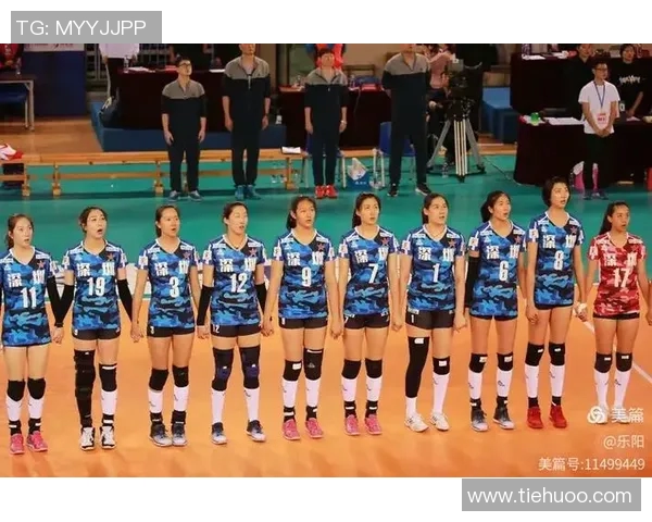 深圳排球队个人能力分析与联赛表现评估