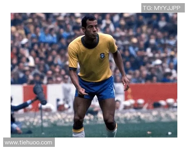 巴西足球历史上最杰出的黑人球星及其传奇故事与影响力